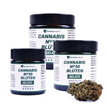 Cannabis N° 10 Blüten - Gelato